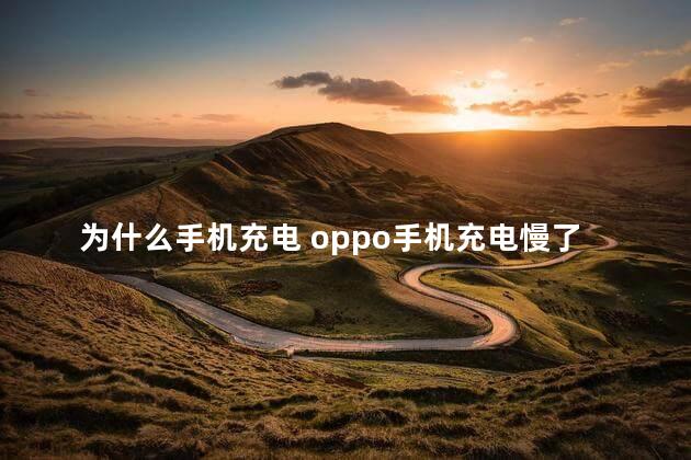 为什么手机充电 oppo手机充电慢了怎么解决